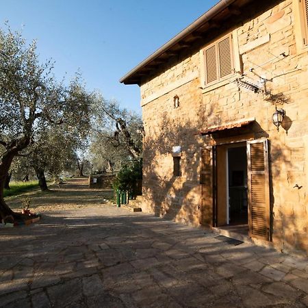 Casetta Maduneta Immersa In Un Oliveto Dolceacqua Bagian luar foto