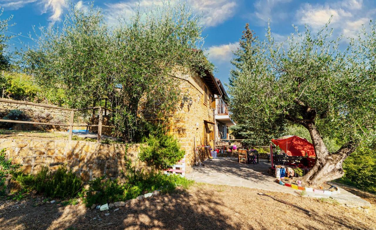 Casetta Maduneta Immersa In Un Oliveto Dolceacqua Bagian luar foto