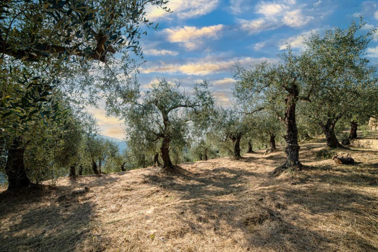 Casetta Maduneta Immersa In Un Oliveto Dolceacqua Bagian luar foto