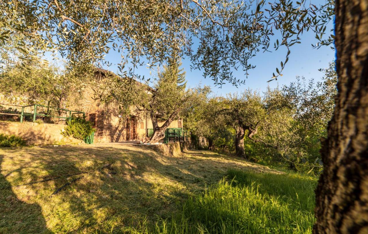 Casetta Maduneta Immersa In Un Oliveto Dolceacqua Bagian luar foto