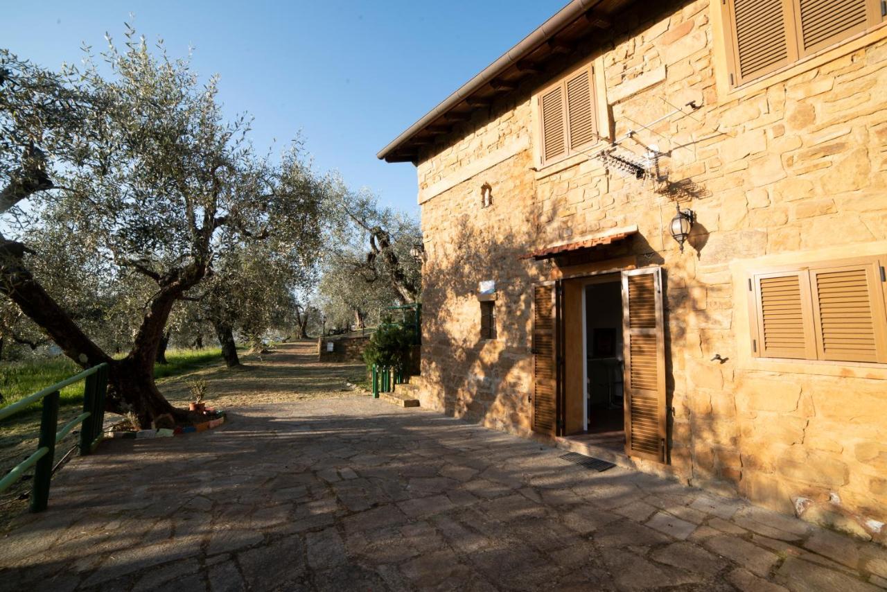 Casetta Maduneta Immersa In Un Oliveto Dolceacqua Bagian luar foto